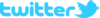logo_twitter_withbird_1000_allblue.png