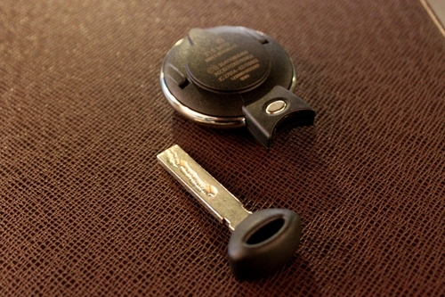 87456123.JPG