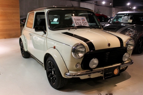 RO-BA-MINI.JPG