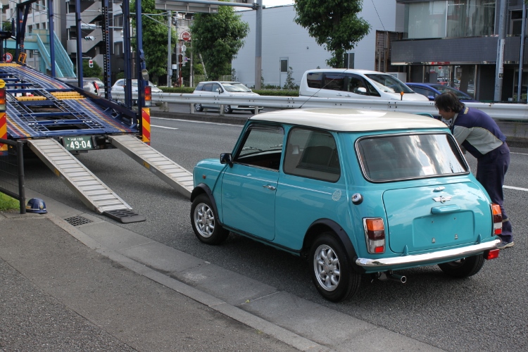 IMG_1013 (750x500)