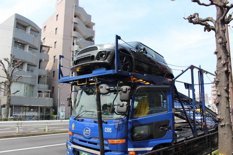 IMG_3155 (750x500)