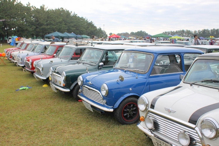 IMG_0108 (750x500)