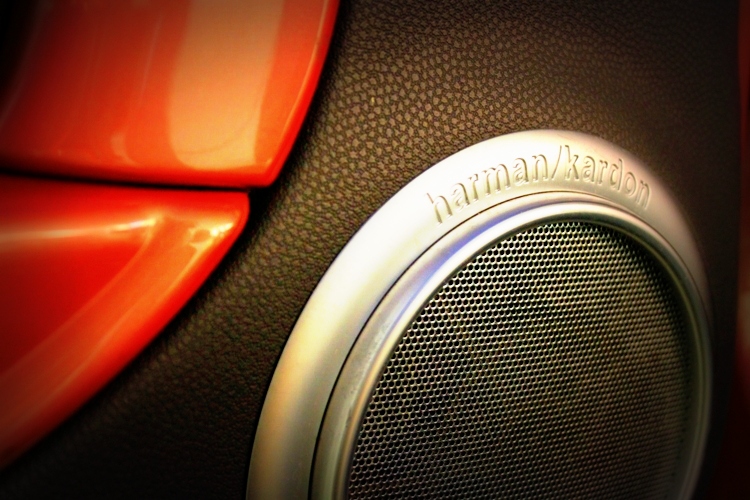 IMG_5448