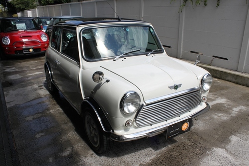 IMG_4015.JPG