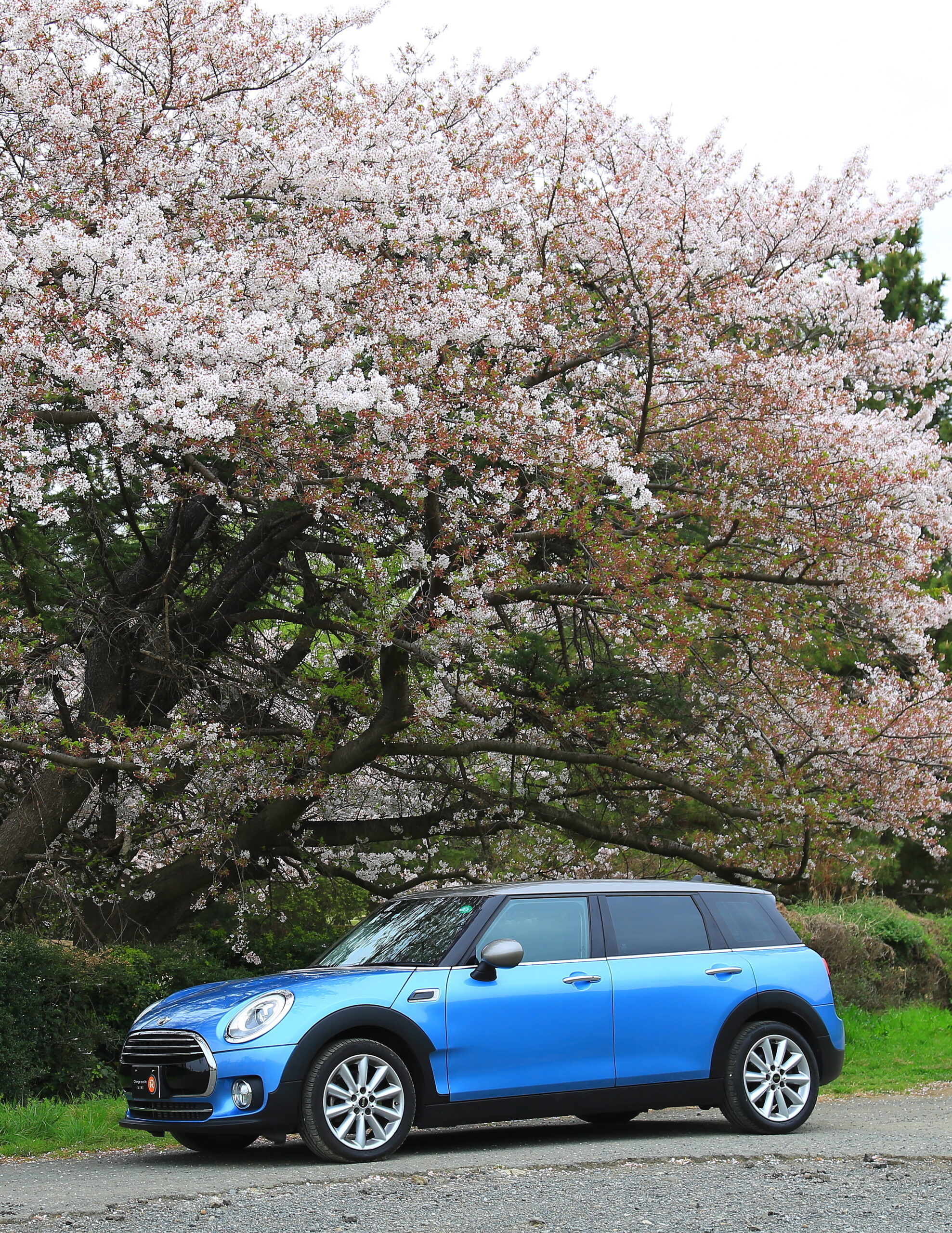 BMWミニ・クーパーDクラブマンに乗って 桜のトンネルを探しにいった